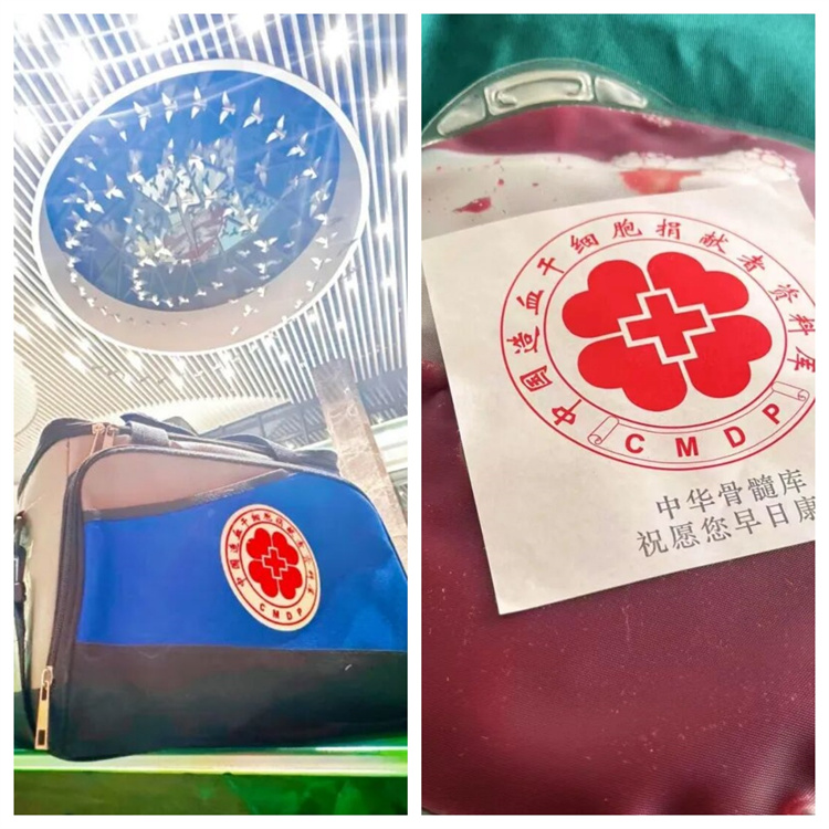 699035c027845.jpg