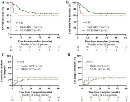 69c622bf73265.png 69c622bf73265.png