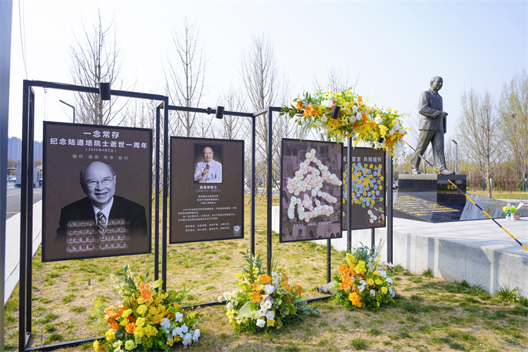 69cf339db0b85.jpg 69cf339db0b85.jpg