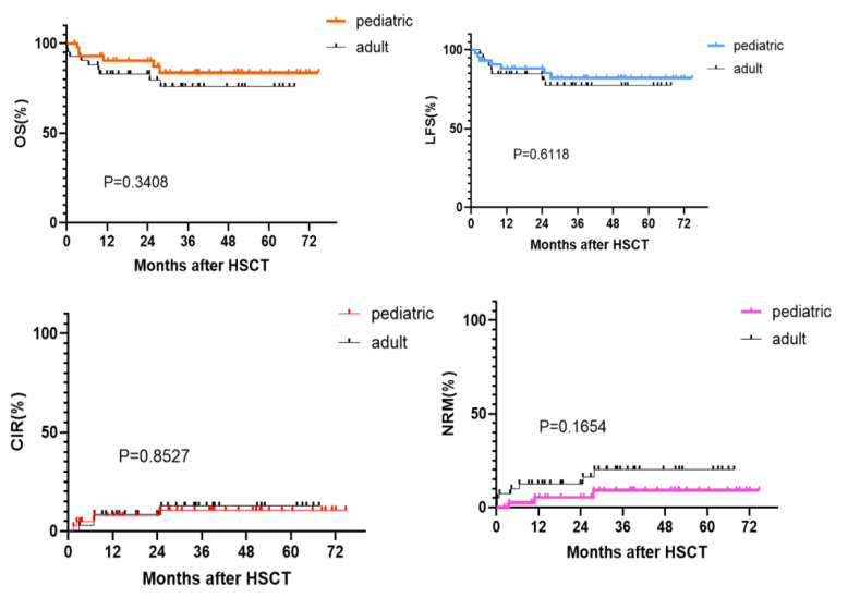 69d708689681f.png 69d708689681f.png