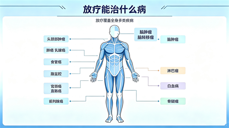 6a59d196a249a.png